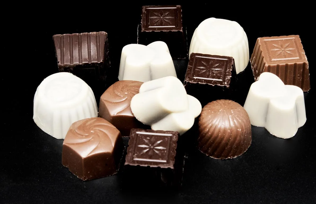 Chocolat sans sucre praliné Perpignan